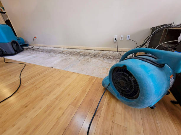 Professional Emergency Water Damage technician working in Stem, NC